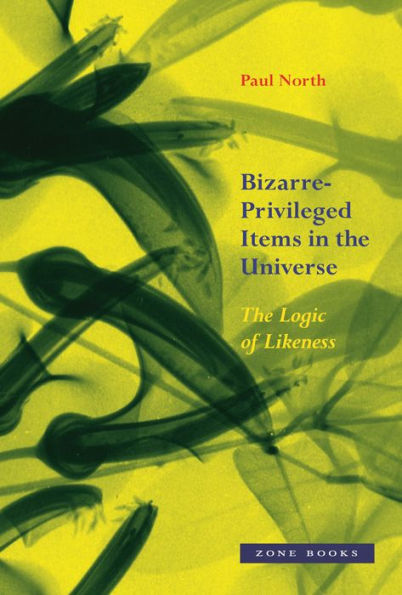 Bizarre-Privileged Items The Universe: Logic of Likeness