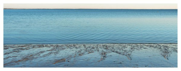 Alex Webb & Rebecca Norris Webb: Waves