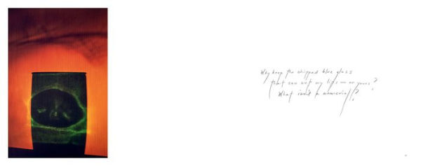 Alex Webb & Rebecca Norris Webb: Waves