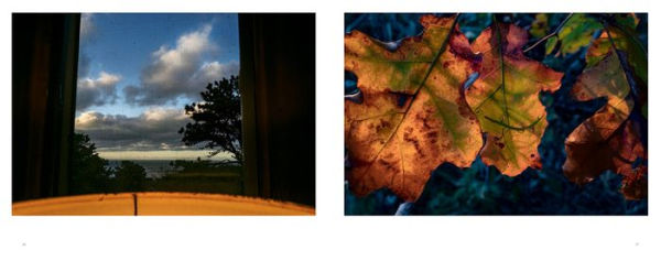 Alex Webb & Rebecca Norris Webb: Waves