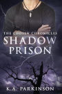 The Shadow Prison