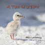 A Tale of a Tern