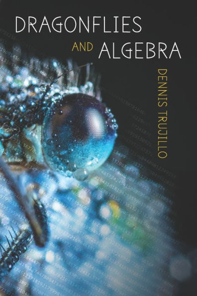 Dragonflies and Algebra