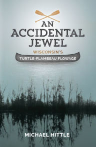 Title: An Accidental Jewel, Author: Michael Hittle