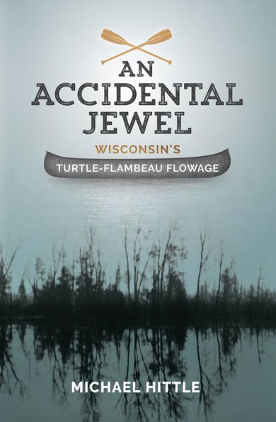 An Accidental Jewel