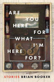 Title: Are You Here For What I'm Here For?, Author: Brian Booker