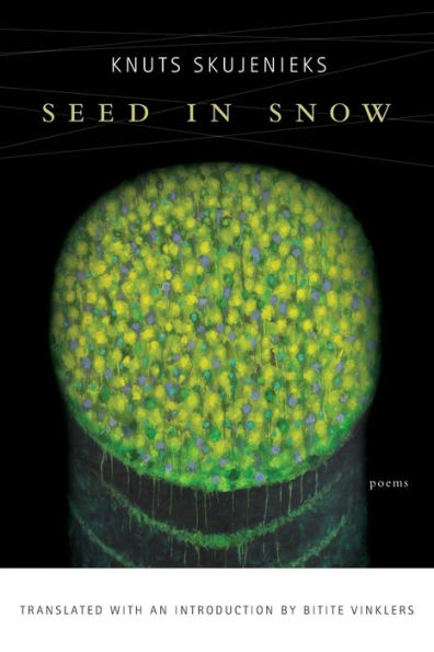 Seed Snow