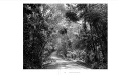 Alternative view 9 of Thomas Struth