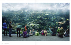Alternative view 10 of Thomas Struth
