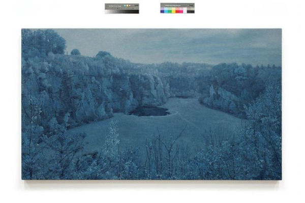 Landscape Painting Now: From Pop Abstraction to New Romanticism by