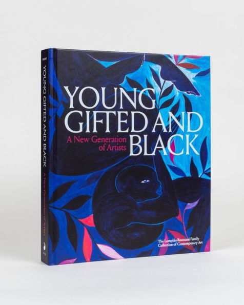 Young, Gifted and Black: A New Generation of Artists: The Lumpkin-Boccuzzi Family Collection of Contemporary Art