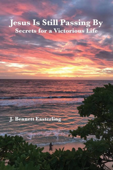Jesus Is Still Passing By: With Secrets for a Victorious Life