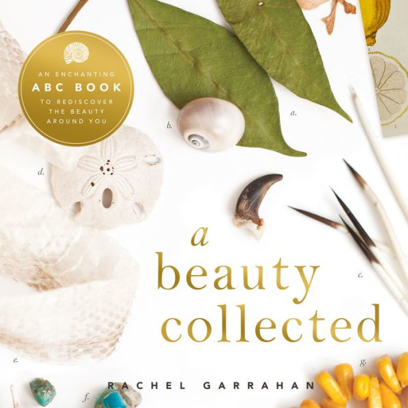 A Beauty Collected: A Captivating ABC Book to Discover the Beauty Around You