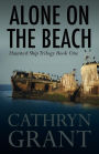 Alone On the Beach: The Haunted Ship Trilogy Book One