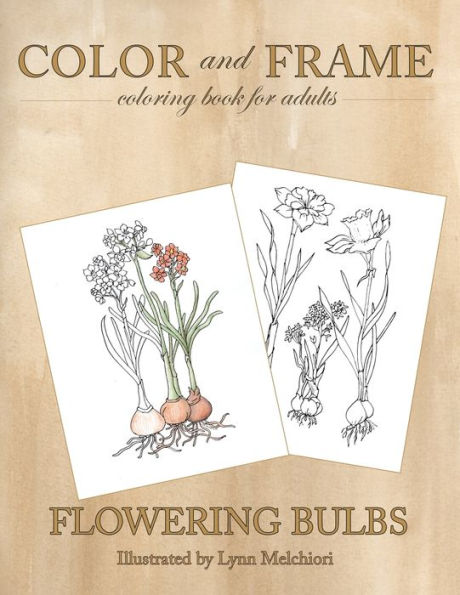 Color and Frame: Flowering Bulbs