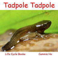 Title: Tadpole Tadpole: Life Cycle Books, Author: Cammie Ho