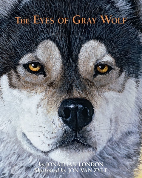 The Eyes of Gray Wolf