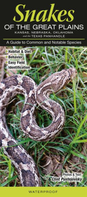 snakes of the great plains kansas nebraska oklahoma and the snakes in kansas