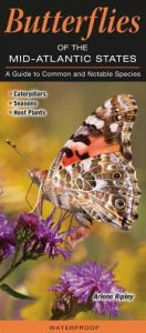 Title: Butterflies of the Mid-Atlantic: A Guide to Common and Notable Species, Author: Arlene Ripley