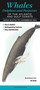 Title: Whales, Dolphins and Porpoises of the Atlantic and Gulf Coasts: Nova Scotia to Caribbean Sea, Author: Val Kells