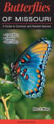 Butterflies of Missouri: A Guide to Common and Notable Species