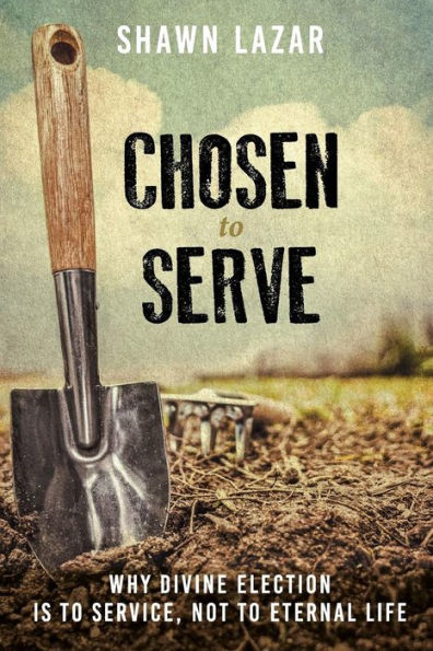 Chosen to Serve: Why Divine Election Is to Service, Not to Eternal Life