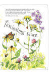 Alternative view 4 of The Nature Explorer's Sketchbook