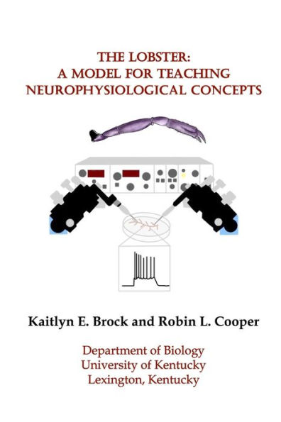 The Lobster: A Model for Teaching Neurophysiological Concepts