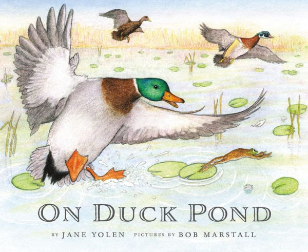 On Duck Pond (On Bird Hill and Beyond Series #2)