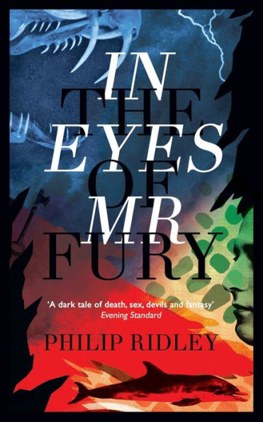 the Eyes of Mr Fury