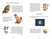 Alternative view 6 of The Kooky Kinkajou (The Nocturnals Early Reader Level 3 Series)