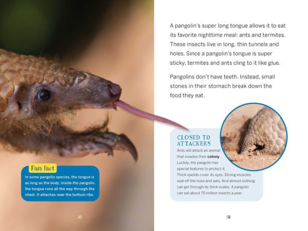 The Nocturnals Nighttime Animals: Awesome Features & Surprising Adaptations: Nonfiction Early Reader