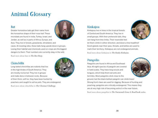 The Nocturnals Nighttime Animals: Awesome Features & Surprising Adaptations: Nonfiction Early Reader