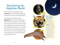 Alternative view 4 of The Nocturnals Nighttime Animals: Awesome Features & Surprising Adaptations: Nonfiction Early Reader