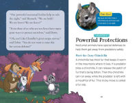 Alternative view 5 of The Nocturnals Nighttime Animals: Awesome Features & Surprising Adaptations: Nonfiction Early Reader