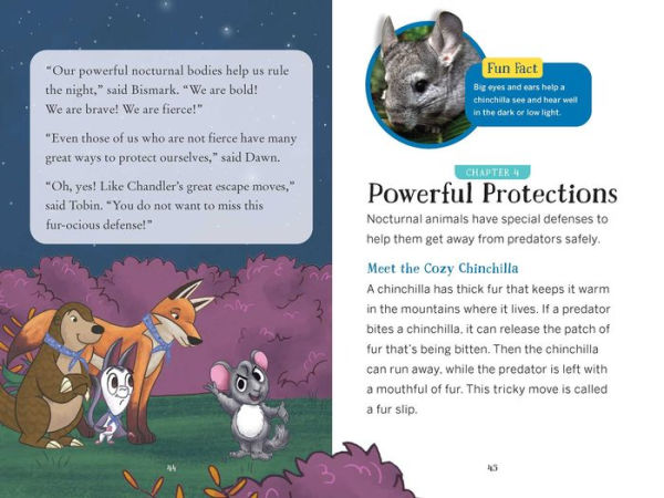 The Nocturnals Nighttime Animals: Awesome Features & Surprising Adaptations: Nonfiction Early Reader