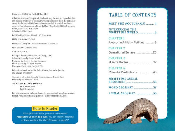 The Nocturnals Nighttime Animals: Awesome Features & Surprising Adaptations: Nonfiction Early Reader