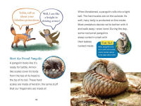 Alternative view 8 of The Nocturnals Nighttime Animals: Awesome Features & Surprising Adaptations: Nonfiction Early Reader
