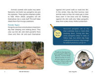Alternative view 2 of The Nocturnals Explore Unique Adaptations of Nighttime Animals: Nonfiction Chapter Book Companion to The Mysterious Abductions