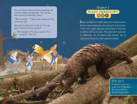 Alternative view 3 of The Nocturnals Explore Unique Adaptations of Nighttime Animals: Nonfiction Chapter Book Companion to The Mysterious Abductions