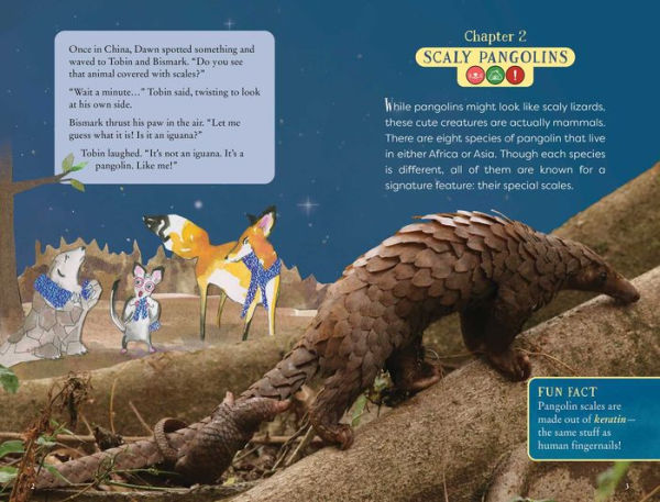The Nocturnals Explore Unique Adaptations of Nighttime Animals: Nonfiction Chapter Book Companion to The Mysterious Abductions