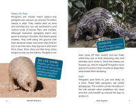 Alternative view 4 of The Nocturnals Explore Unique Adaptations of Nighttime Animals: Nonfiction Chapter Book Companion to The Mysterious Abductions