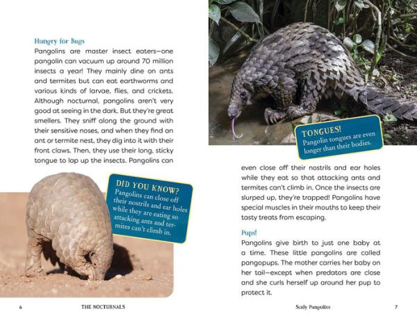 The Nocturnals Explore Unique Adaptations of Nighttime Animals: Nonfiction Chapter Book Companion to The Mysterious Abductions