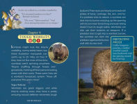 Alternative view 6 of The Nocturnals Explore Unique Adaptations of Nighttime Animals: Nonfiction Chapter Book Companion to The Mysterious Abductions