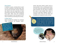 Alternative view 7 of The Nocturnals Explore Unique Adaptations of Nighttime Animals: Nonfiction Chapter Book Companion to The Mysterious Abductions
