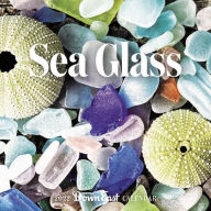 Amazon kindle ebook download prices 2022 Sea Glass Wall Calendar 9781944094232 by Down East Books RTF MOBI iBook (English Edition)