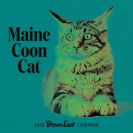 Free books cd online download 2022 Maine Coon Cat Wall Calendar 9781944094249 by Down East