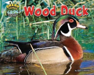 Title: Wood Duck, Author: Ellen Lawrence