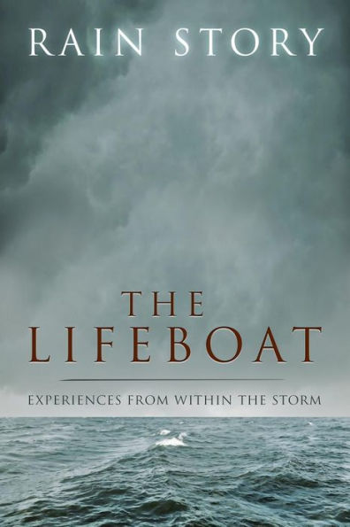 The Lifeboat: Experiences from within the storm