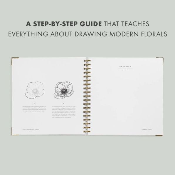 How To Draw Modern Florals: An Introduction The Art of Flowers, Cacti, and More